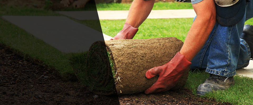 Rocky Face Landscapers